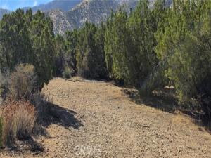 MLS #SR26231679 image #0