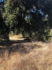 MLS #SW23108127 image #0