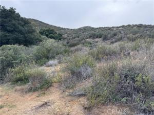 MLS #SW24013664 image #0