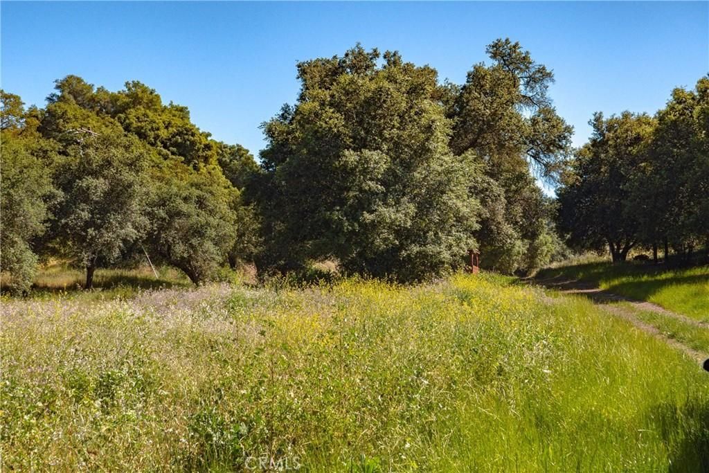 MLS #SW24061842 image #0