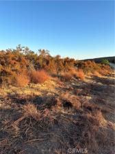 MLS #SW24178501 image #0