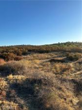 MLS #SW24178540 image #0