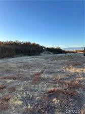 MLS #SW24178556 image #0