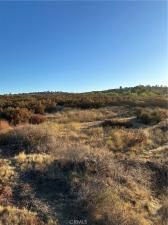 MLS #SW24178587 image #0