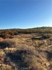 MLS #SW24178587 image #0