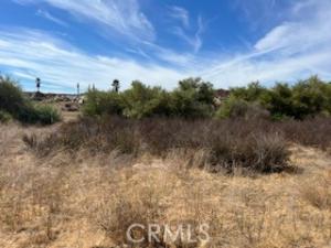 MLS #SW24222144 image #0