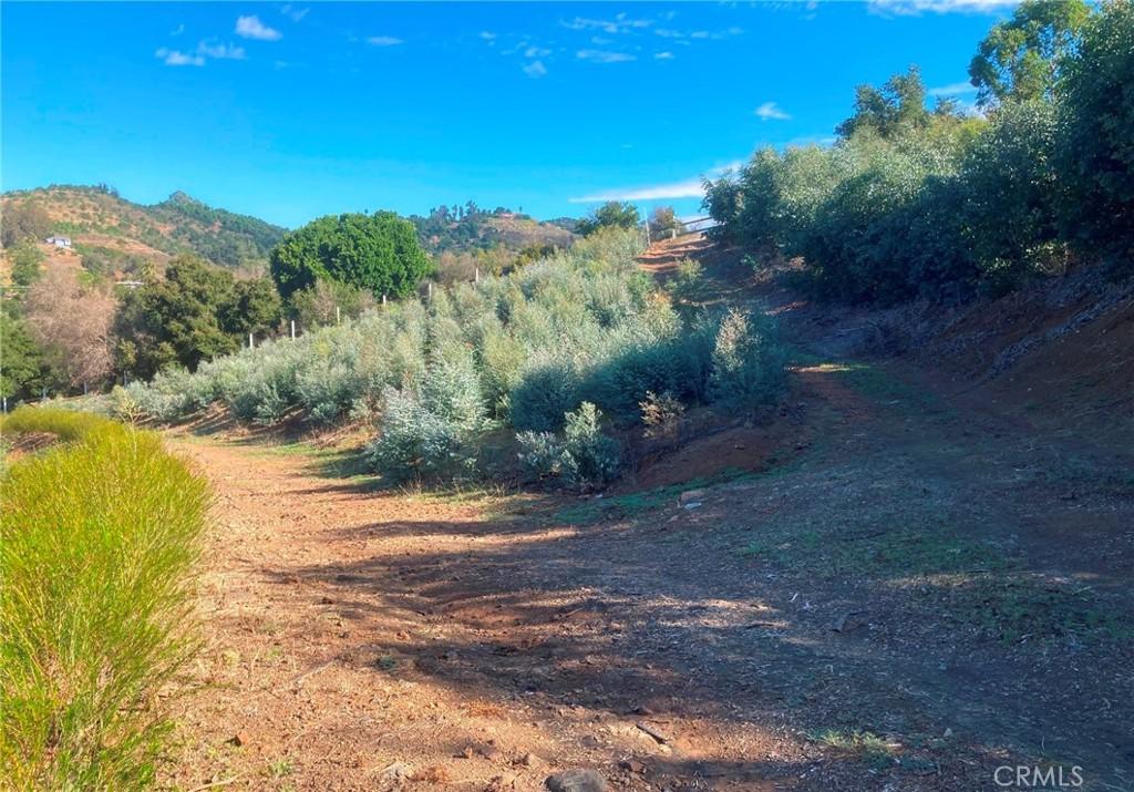 MLS #SW24226307 image #0