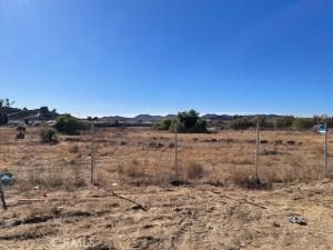 MLS #SW25014728 image #0