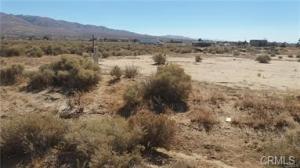 MLS #SW25049483 image #0
