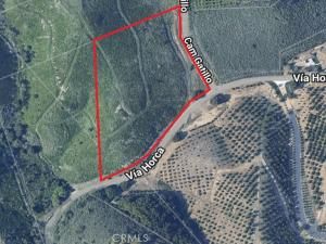 MLS #SW25049991 image #0