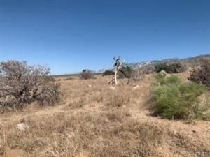 Emerald Lucerne Valley CA 92356 | MLS #SW25051473 41 MLS #SW25051473 image #0