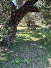 MLS #SW25085088 img 0
