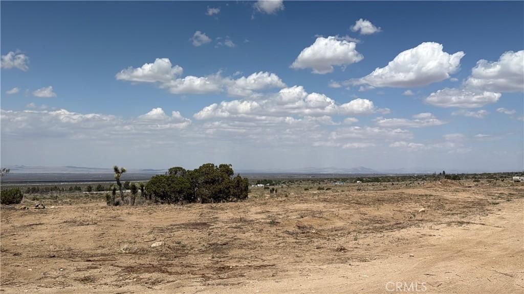 MLS #SW25098683 image #0