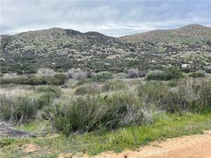 MLS #SW25114791 image #0