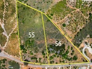 MLS #SW25130077 image #0