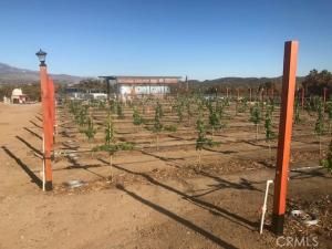 MLS #SW25130190 image #0