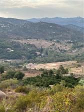 MLS #SW25134063 image #0