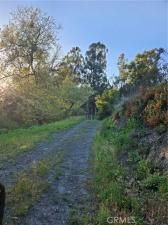 MLS #SW25142901 image #0