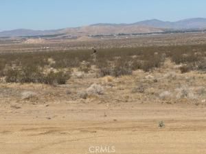 MLS #SW25143368 image #0