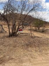 MLS #SW25155265 image #0