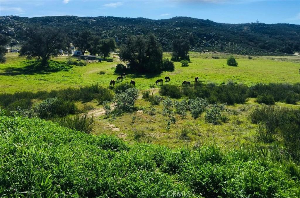 MLS #SW25156795 image #0