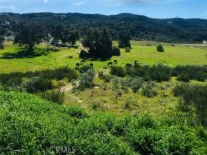 MLS #SW25156795 image #0