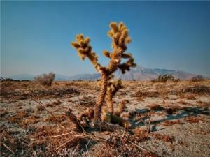 MLS #SW25158791 image #0