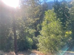 Elder Drive Lot 130 Cedar Glen CA 92321 | MLS #SW25163652 45 MLS #SW25163652 image #0