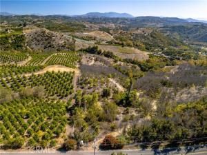 MLS #SW25163666 image #0