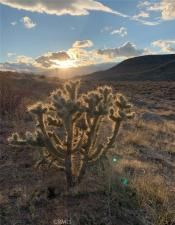 MLS #SW25164124 image #0