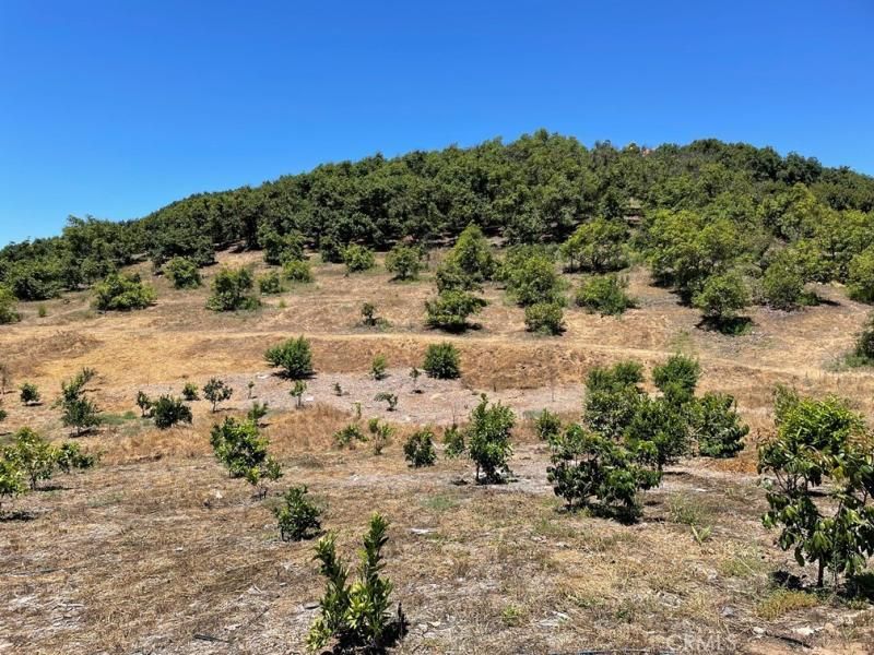 MLS #SW25169972 image #0