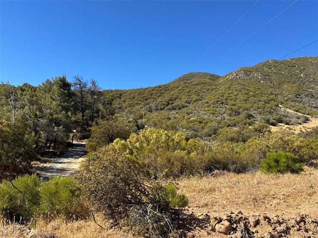 MLS #SW25173108 image #0