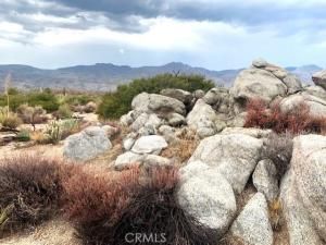 MLS #SW25191064 image #0