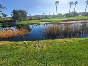 MLS #SW25201060 image #0