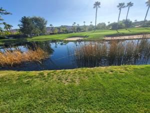 MLS #SW25201060 image #0