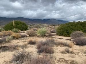 MLS #SW25221501 image #0