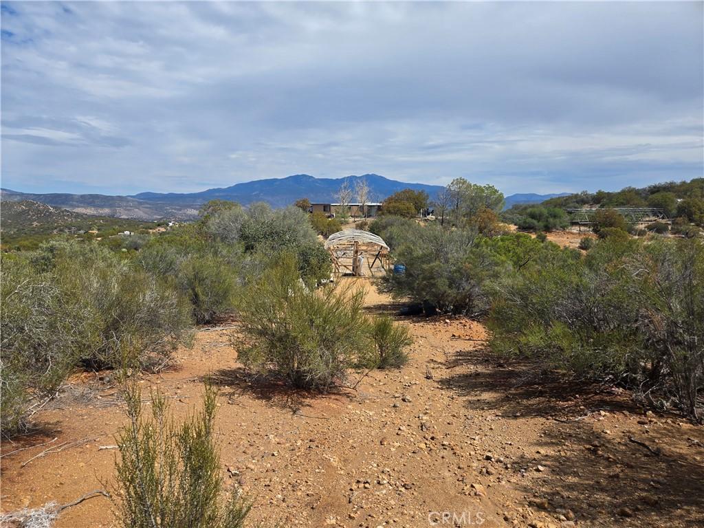 MLS #SW25221528 image #0