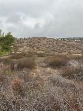 MLS #SW25226401 image #0