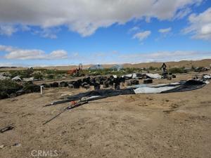 MLS #SW25226819 image #0