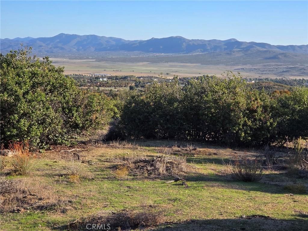 MLS #SW25230587 image #0