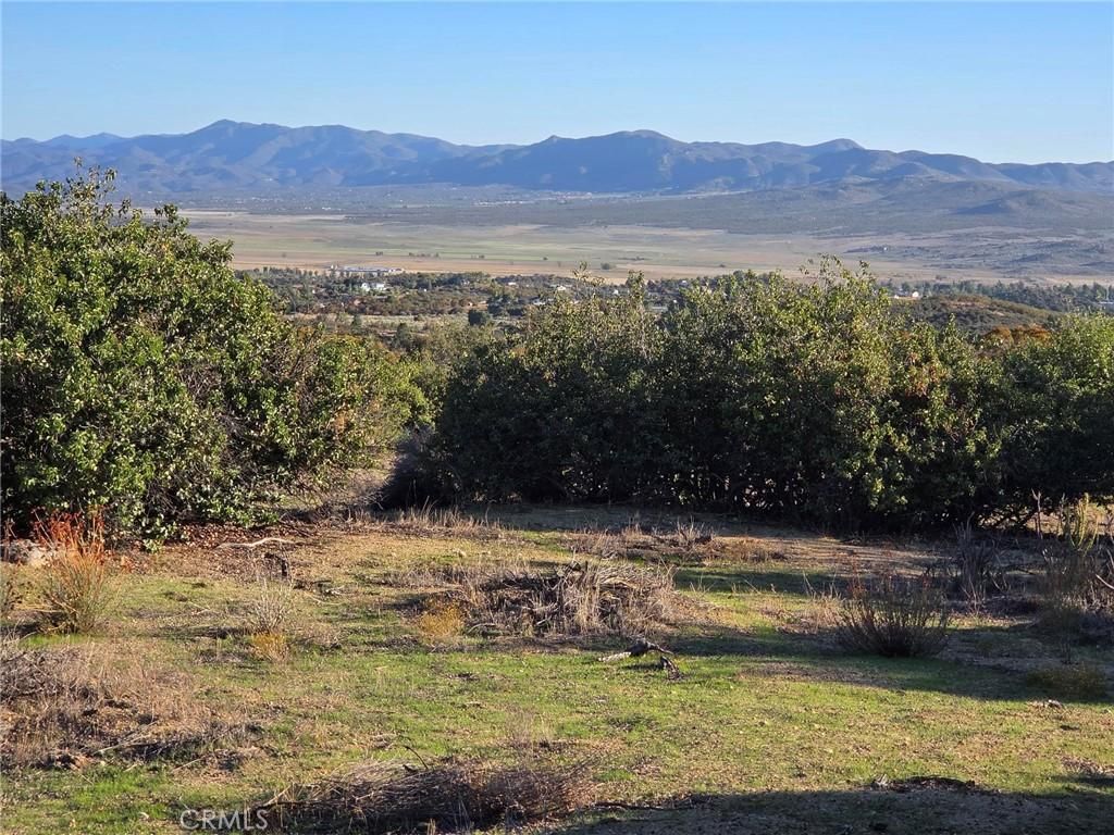 MLS #SW25230587 image #0