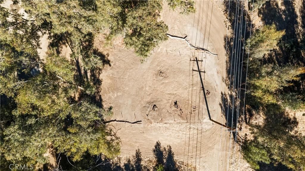 MLS #SW25237321 image #0