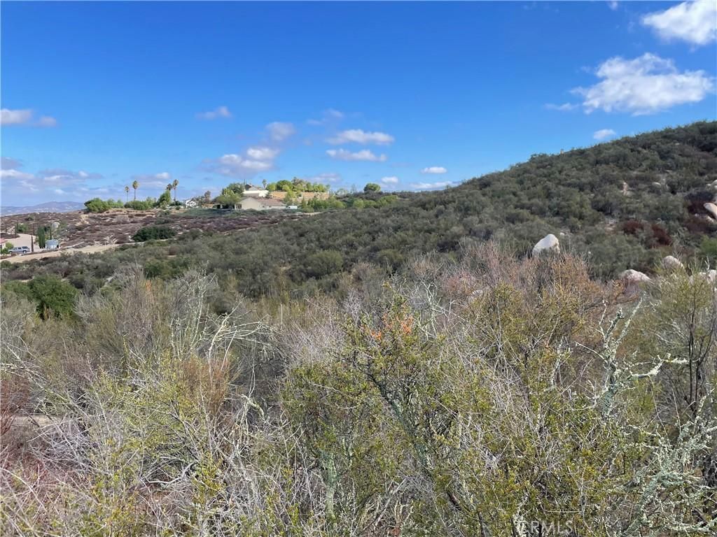 MLS #SW25238394 image #0