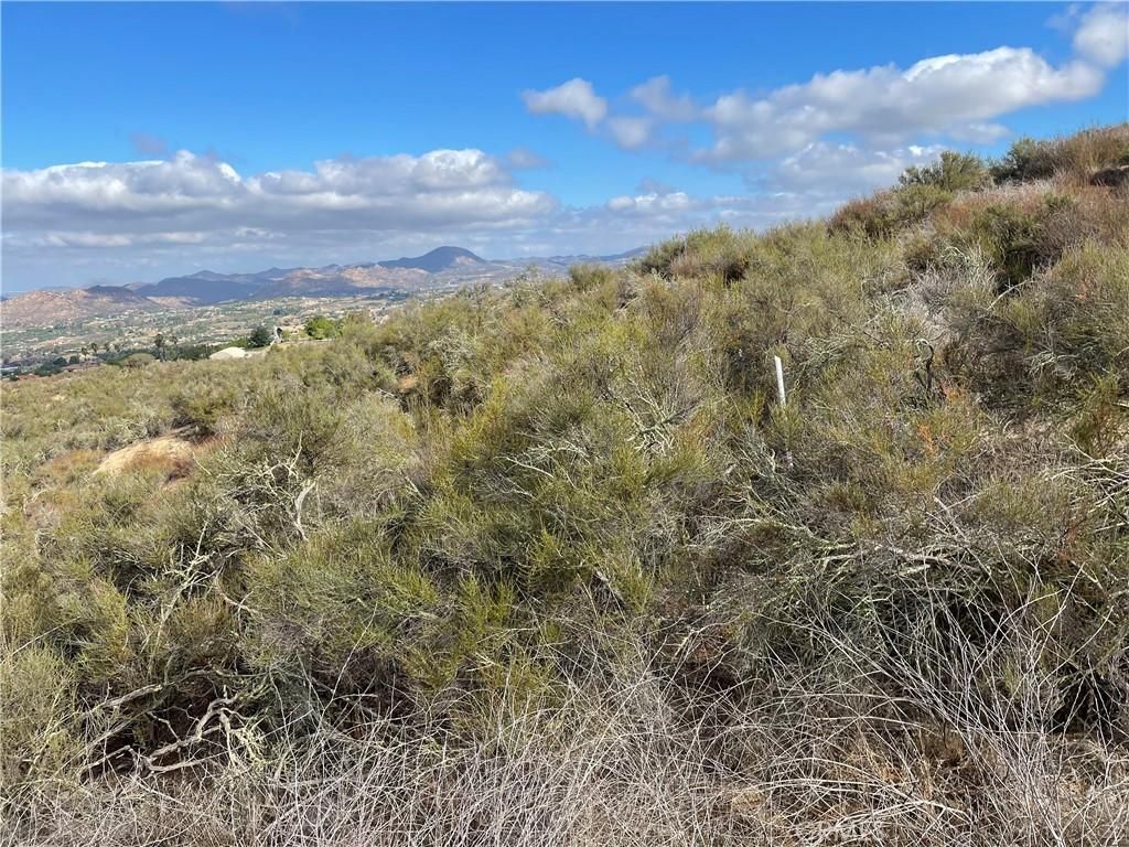 MLS #SW25238394 image #0