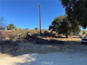 MLS #SW25246757 image #0