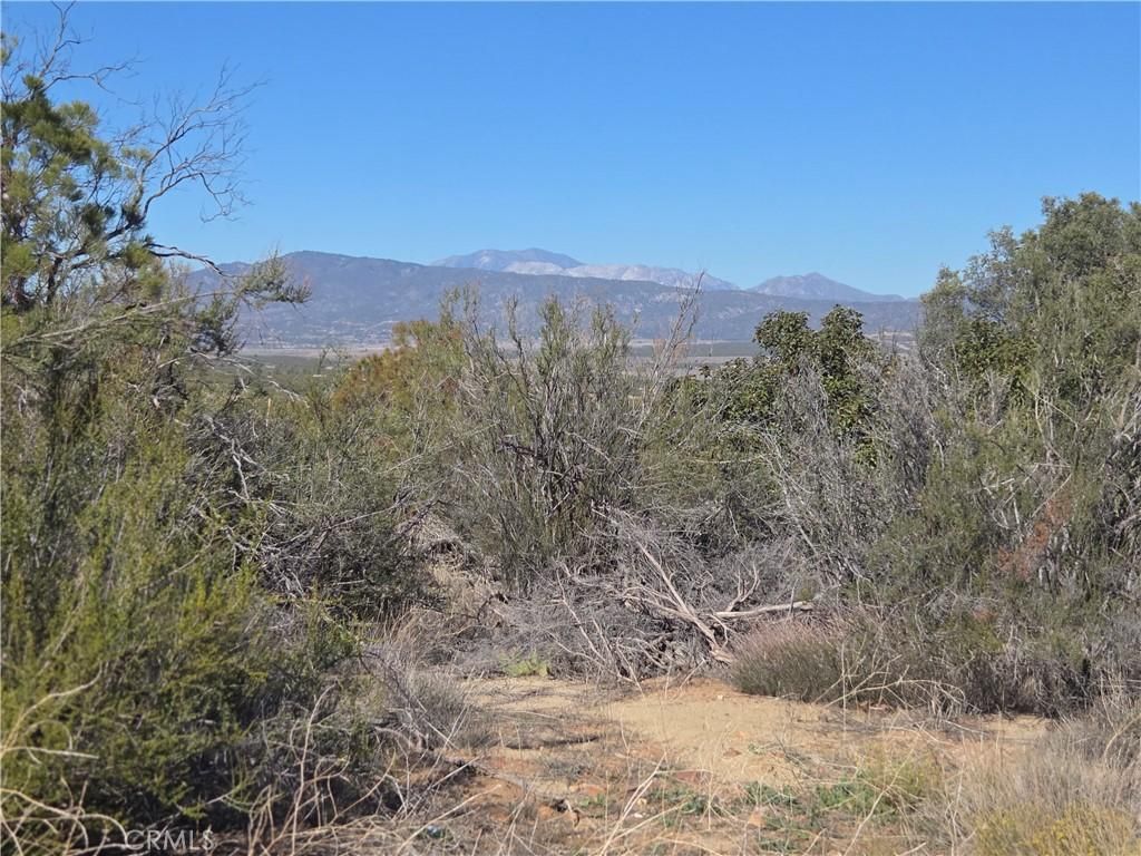 MLS #SW25248553 image #0