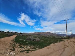 MLS #SW25249433 image #0