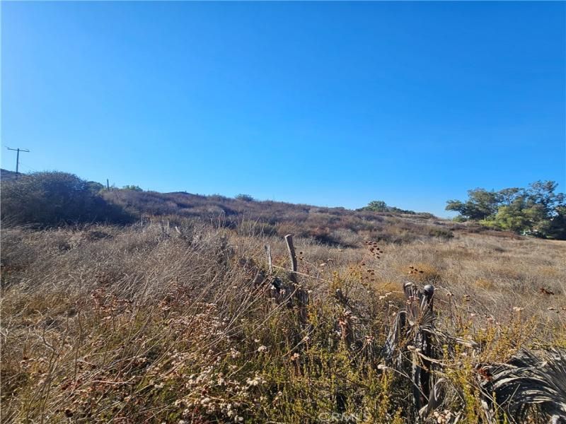 MLS #SW25254213 image #0