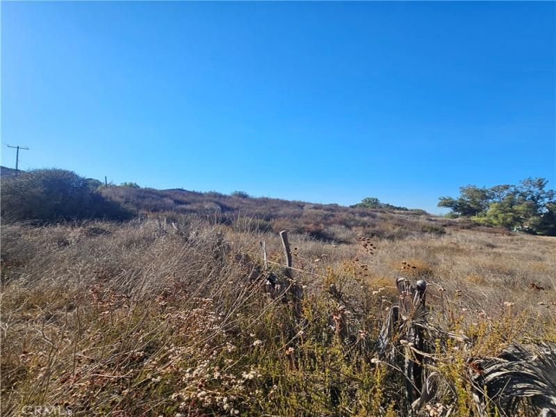 MLS #SW25254213 image #0