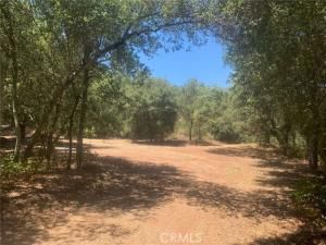 MLS #SW25258371 image #0